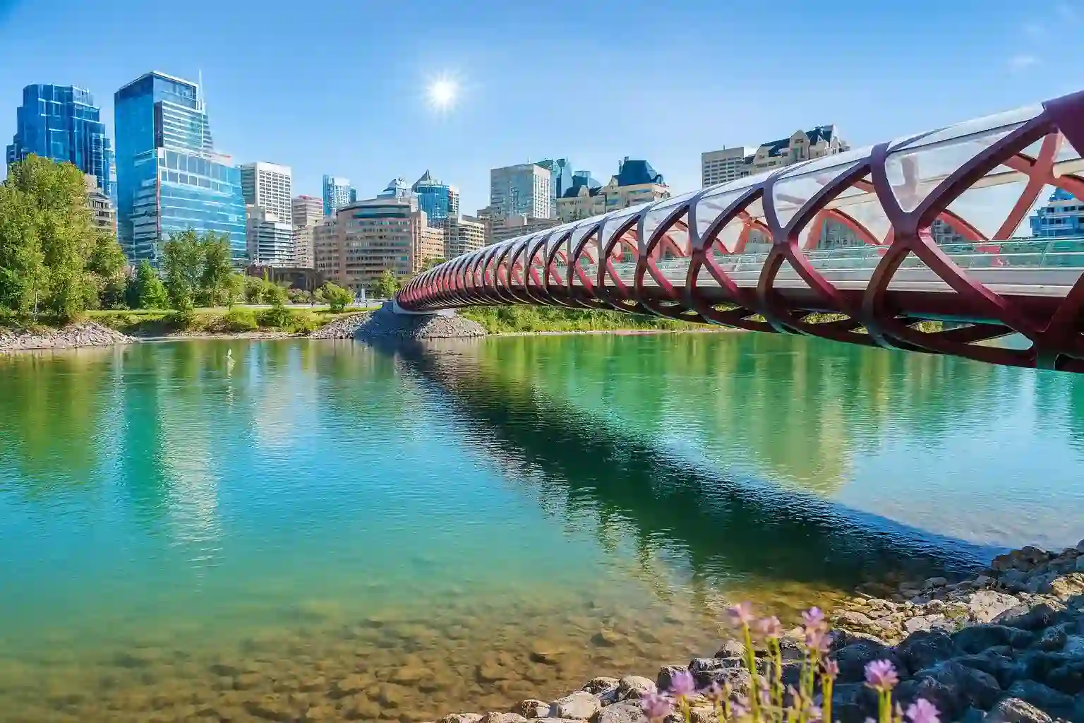 City street view symbolizing disorder indicators by community